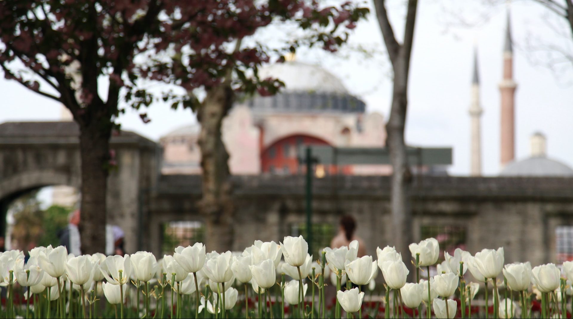 Tulipani a Istanbul, weekend a colori